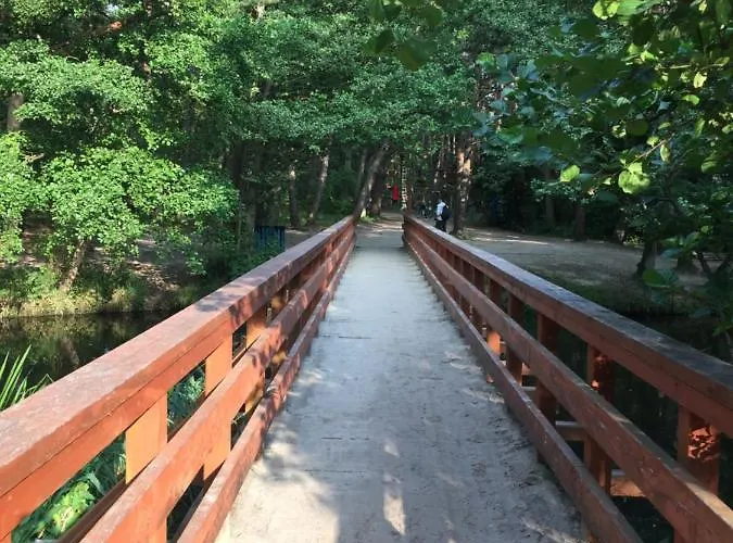 Amber 아파트 데브키